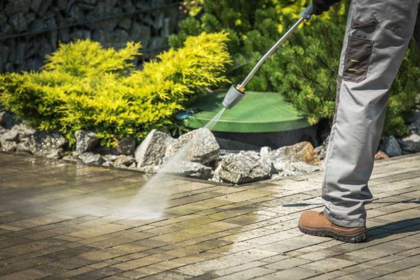 Best Animal Enclosure Cleaning  in Los Alamitos, CA