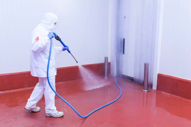 Best Spring Cleaning  in Los Alamitos, CA