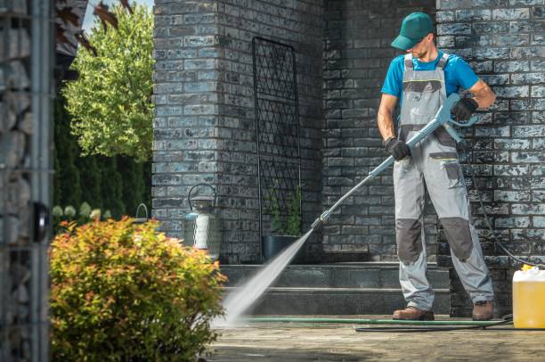 Best Soft Washing  in Los Alamitos, CA
